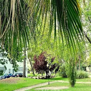 Habitat Puerto Pollensa